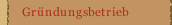 Gr&uuml;ndungsbetrieb